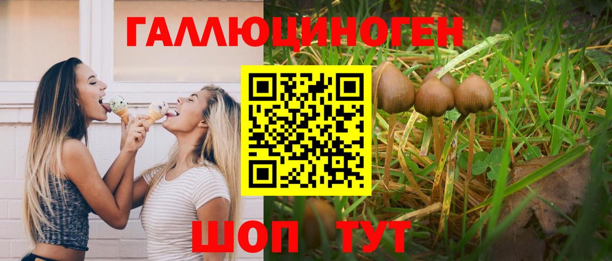Галлюциногенные грибы прущие грибы  Вход с VPN  Ялта  Псилоцибиновые грибы мухоморы 